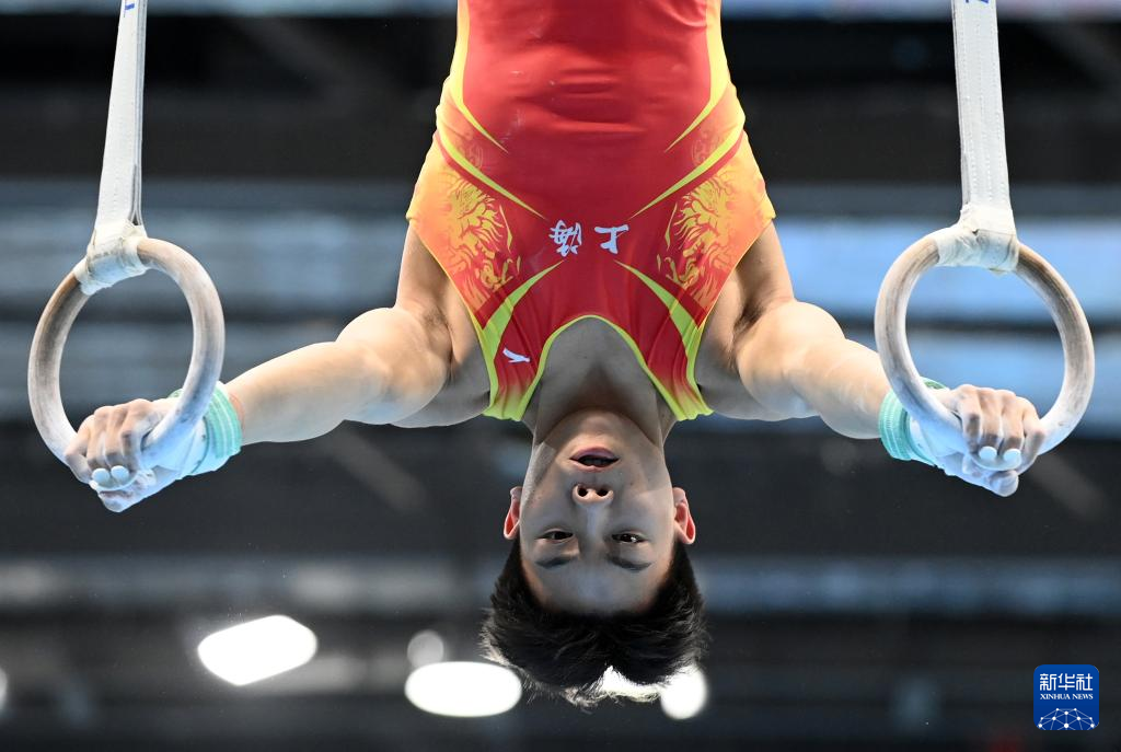 包含回顾体操经典时刻：传奇再现的词条