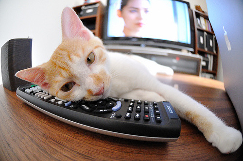 爱游戏大厅-绝杀！姆巴佩化身午夜魔法师，破碎哥斯达黎加的最后童话