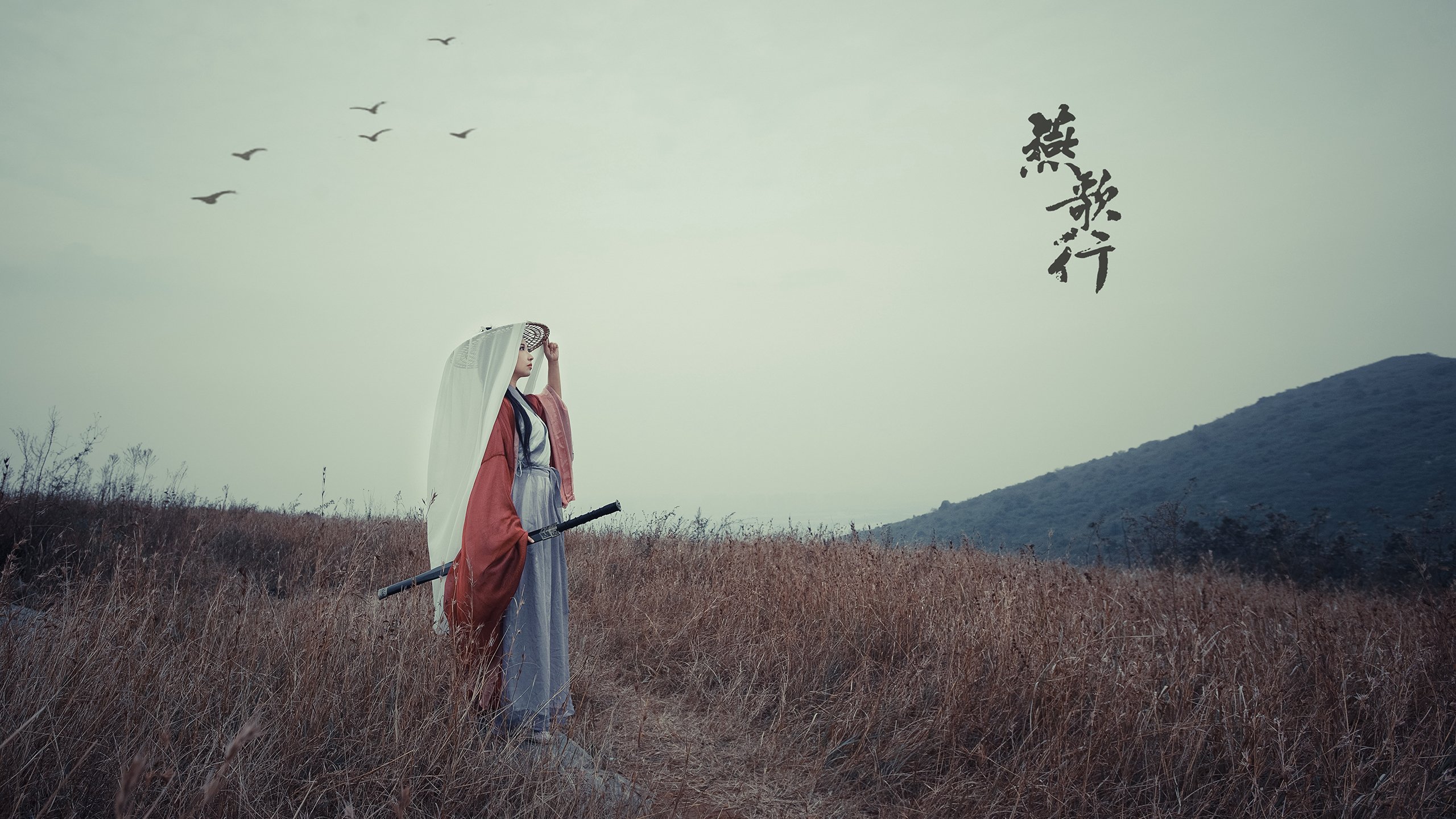 爱游戏在线-雷霆狂胜深圳队，拉梅洛·鲍尔成关键先生引领大胜风暴